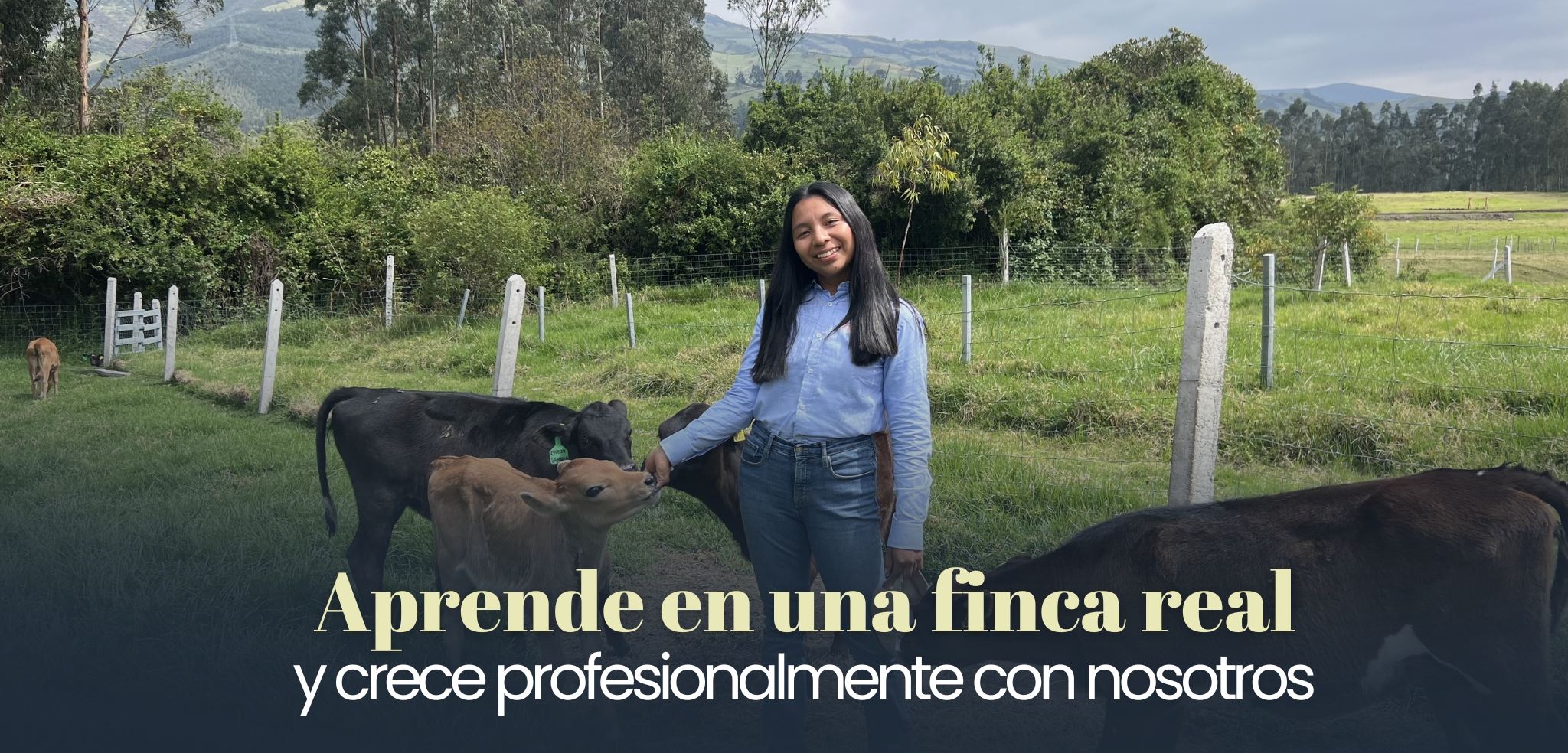 Página web Phajcha_Mesa de trabajo 1