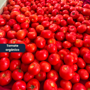 Tomate